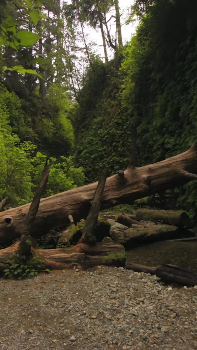 Joy lives in simple, everyday moments—your morning coffee, sunshine, laughter. Slow down and soak them in. 🌞⁠
What brought you joy today?⁠
#HealthyAmericanUSA #EverydayJoy #MindfulLiving