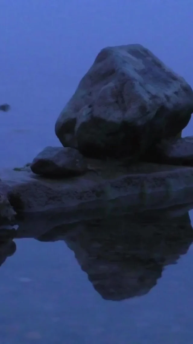 Balance is about being mindful of what truly matters to you—not about perfecting everything. Let yourself breathe, pause, and refocus. 🌿⁠
What does balance look like for you today?⁠
#HealthyAmericanUSA #BalancedLife #MindfulLiving