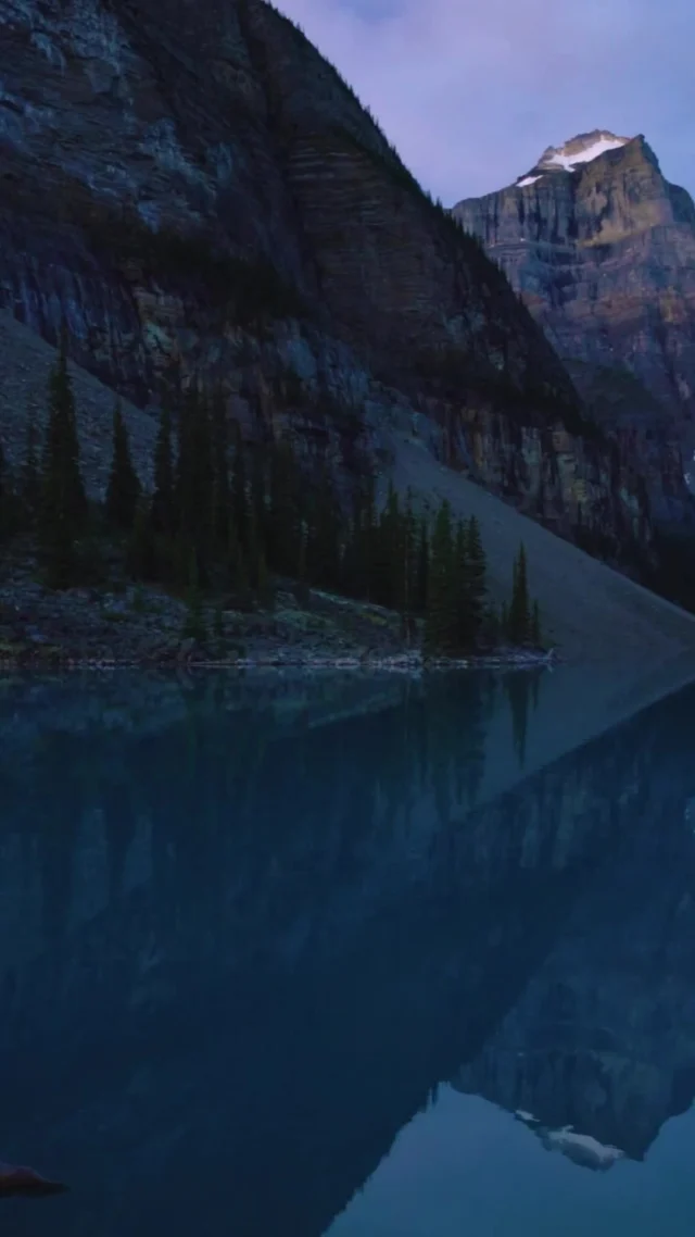 Your health is your most valuable investment—small actions each day add up to lasting wellness. 🌱⁠
What's one thing you did today to invest in your health?⁠
#HealthyAmericanUSA #DailyWellness #HealthIsWealth