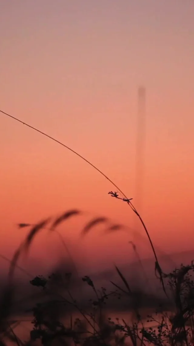 Take a mindful minute with me. Just breathe in slowly... hold gently... and breathe out. 🌬️ Repeat this anytime you need calm.⁠
⁠
Click the link in my bio for more wellness tips.⁠
⁠
#HealthyAmericanUSA #MindfulnessMoment #StressRelief