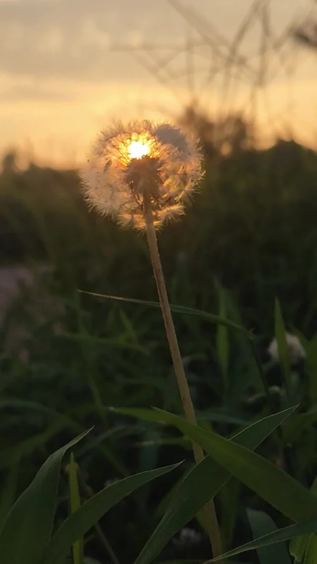 Self-kindness is essential, not optional. Speak gently, forgive easily, and treat yourself with the love you freely give others. 💕⁠
⁠
How are you being kind to yourself today?⁠
⁠
#HealthyAmericanUSA #SelfKindness #SelfCareMatters