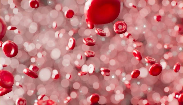🩸 Ever wonder what actually happens after you donate blood?⁠
Spoiler: It doesn’t just sit in a fridge somewhere.⁠
⁠
Your donation is processed, tested, and separated into components, like red blood cells, plasma, or platelets—so each part can go exactly where it’s needed most. Whether it's helping someone during surgery, treating a burn victim, or supporting a cancer patient, your donation saves lives in more ways than one.⁠
⁠
✨ Donating takes less than an hour, but the impact can last a lifetime.⁠
⁠
🔗 Click the link in bio to learn what happens after you give⁠
📌 Save this if you're planning to donate soon⁠
💬 Tag someone who's a hero in your life (blood donor edition)⁠
⁠
#HealthyAmericanUSA #BloodDonation #DonateBloodSaveLives #HealthEducation #NationalBloodDonorMonth #BloodDonorAwareness #CommunityHealth⁠
⁠